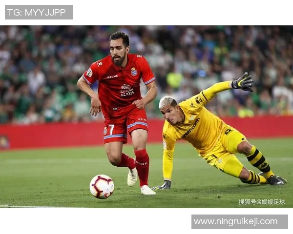 足球星之源杯：跨越时空的竞技盛宴，见证世界顶尖球员的荣耀之战